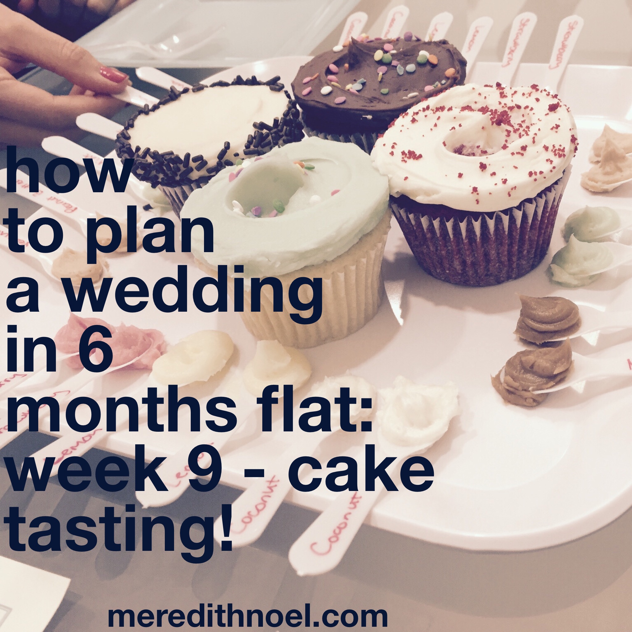 how to plan a wedding in 6 months flat week 9 meredith