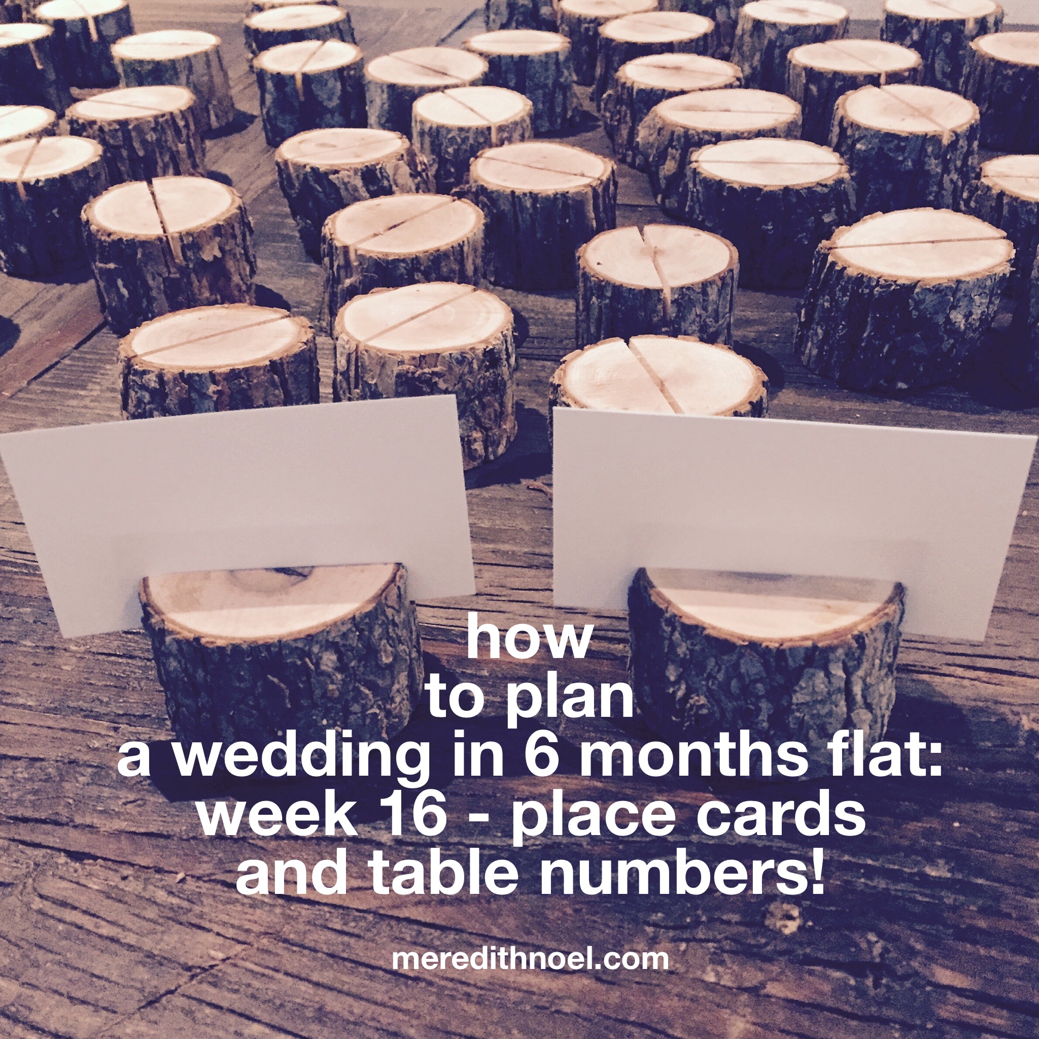 how to plan a wedding in 6 months flat week 16 meredith